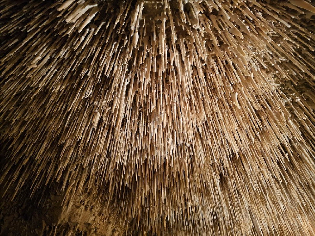 "Makaronie"